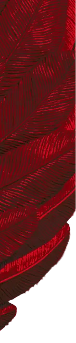 wing