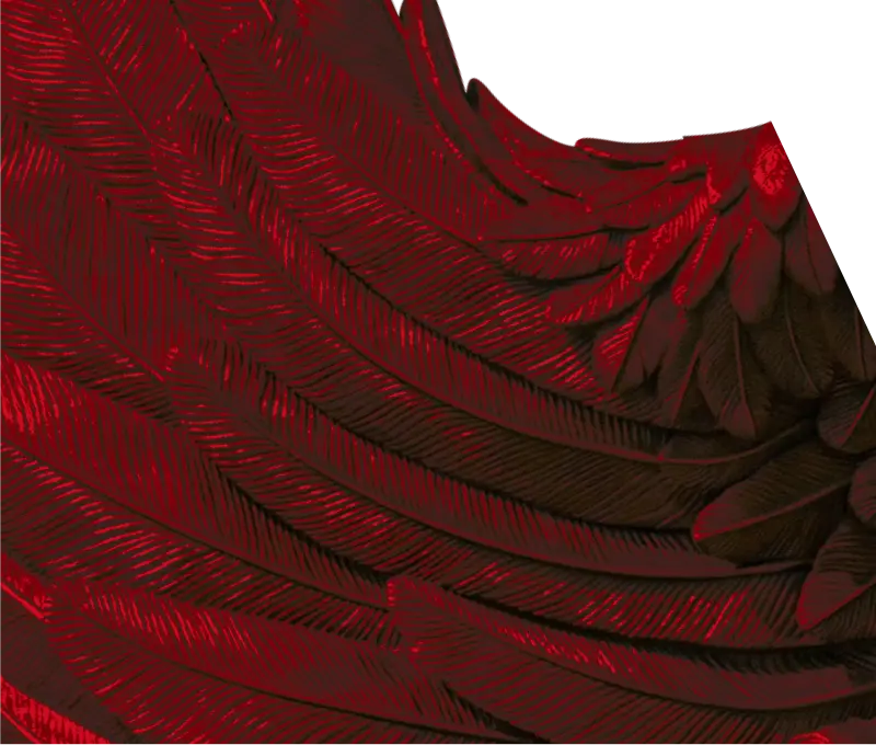 wing